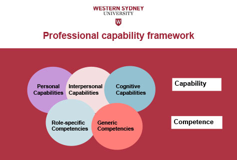 Figure Two - Professional Capability Framework